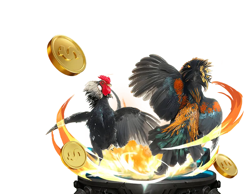 Nền tảng đá gà trực tuyến go8 chính thức